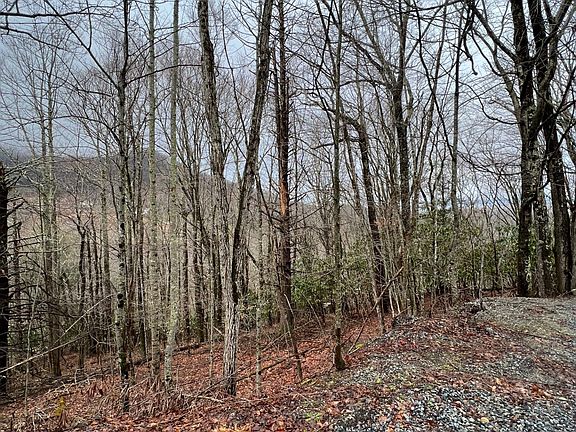 3rd image of Hemlock Dr