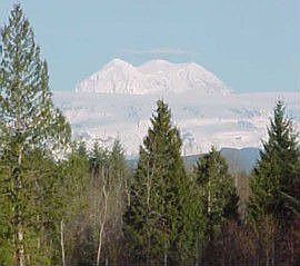 Gorgeous Mt Rainier View