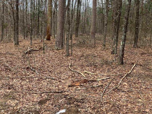 (undisclosed Address), Shirley, AR 72153
