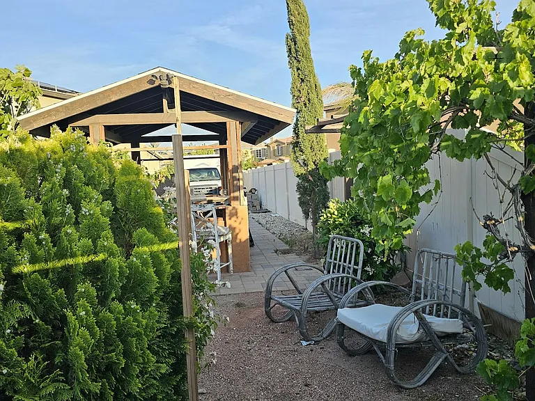 Backyard