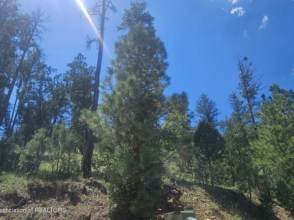 117 Oak Grove Pl, Ruidoso, NM 88345