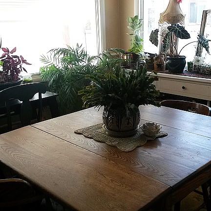 Large windows in Dining Room