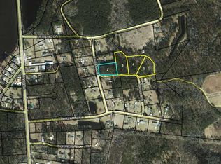 Tbd Trout Ave, Manning, SC 29102