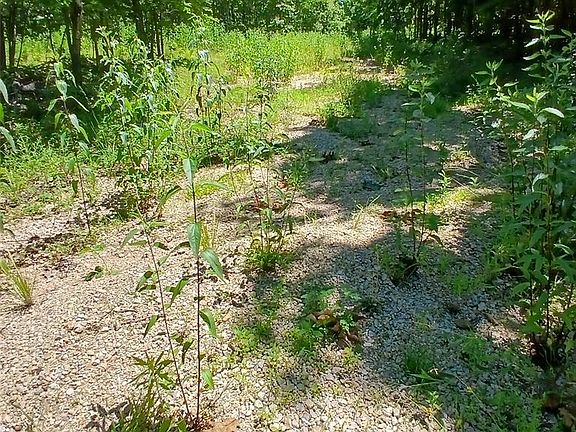4th image of 0 Easement