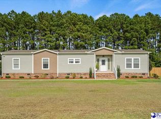 6193 Clearbrook Rd, Effingham, SC 29541
