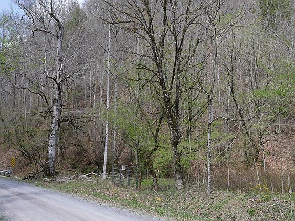 4th image of Fowlers Branch Rd