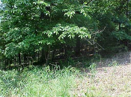 2nd image of Highland Park Dr