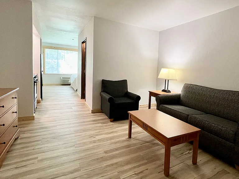 Ski Town Apartments — Photo 89