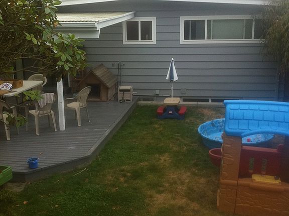 lower backyard