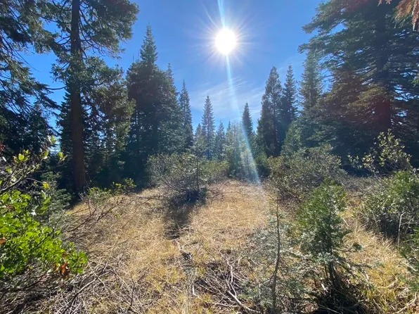 4-F-12 Echo Way, McCloud, CA 96057