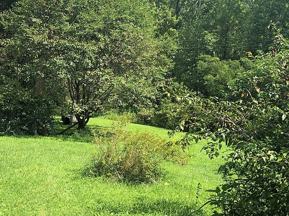 3rd image of 276 Lonesome Mountain Ln