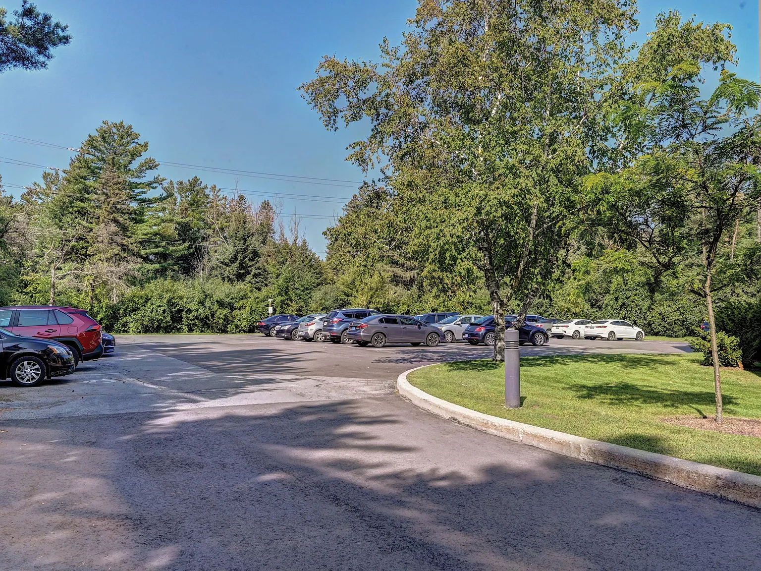 Somerset Place Apartments - Cambridge — Photo 4