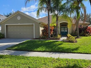 10115 Cannon Dr, Riverview, FL 33578