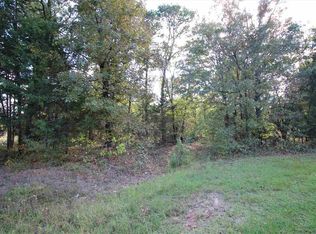 County Road 3669, Queen city, TX 75572