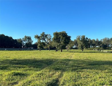 830 Edwards Rd, Lady Lake, FL, 32159