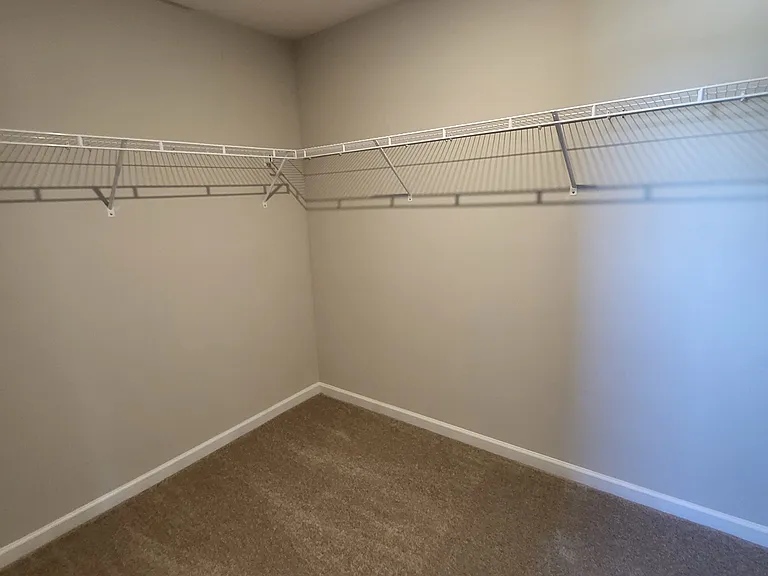 Primary walk-in closet (1 of 2)