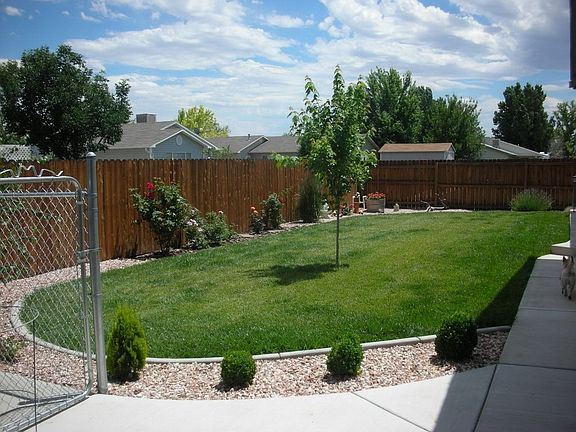 Backyard w/ mature landscaping
