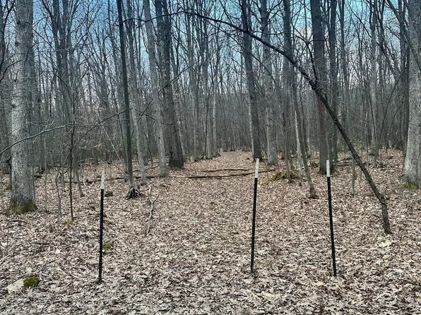 Harvey Peninsula Rd Lot 8, Swanton, MD 21561