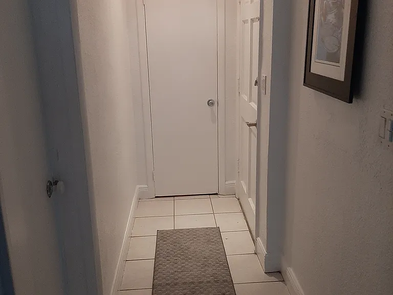 Main entrance view. Entrance door on the right. Storage area closet pictured straight.