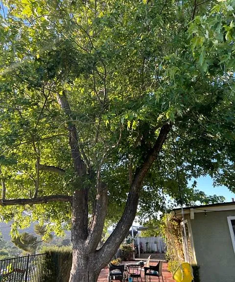 281 Dickenson Ave — Photo 5