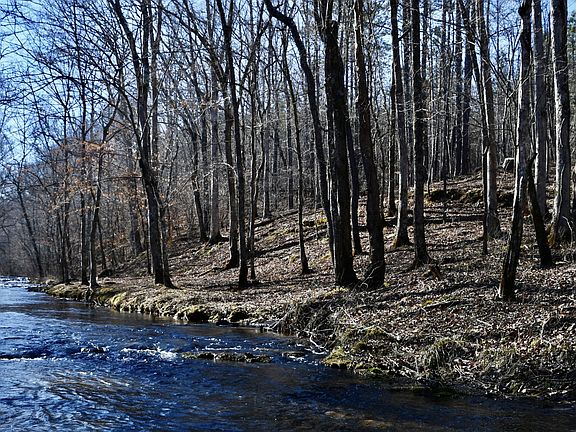 5th image of 0 Allens Creek Rd