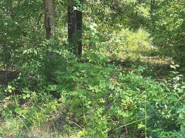 9438 Cedar Dr, Bonne Terre, MO 63628
