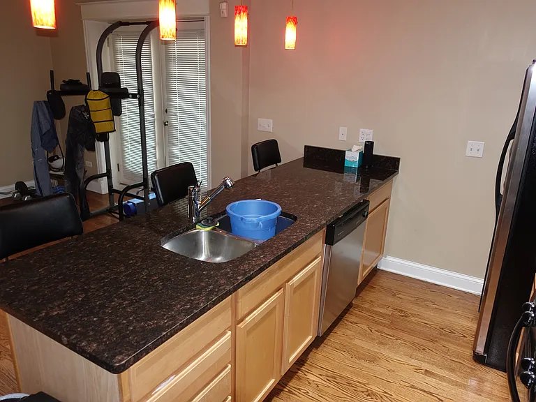 924 N Hoyne Ave #1W — Photo 3