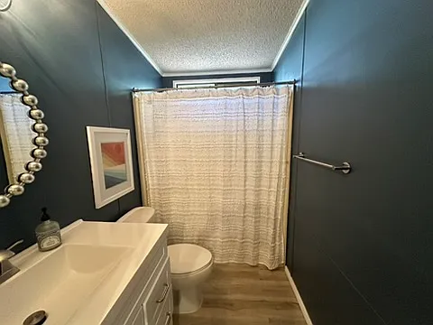 Hall bathroom with new vanity, paint, lighting, and flooring.
