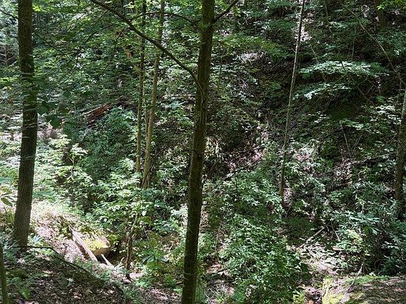 3rd image of 2275 Skull Bone Tower Rd