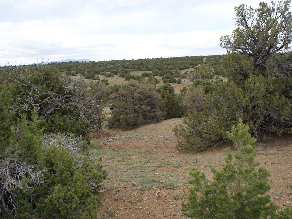 1st image of Huajatolla Blvd