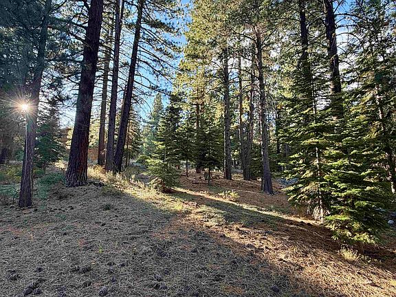 3rd image of 11853 Saddleback Dr