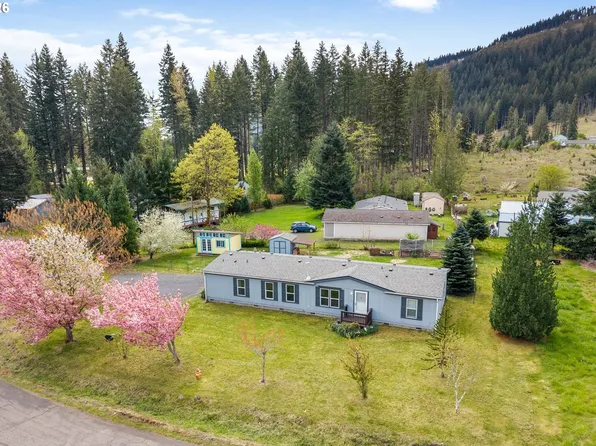 151 Russells Timber Ln, Carson, WA 98610