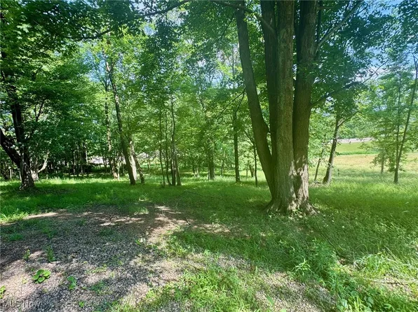 LOT 1 Mitchell Hill Dr, Dresden, OH 43821