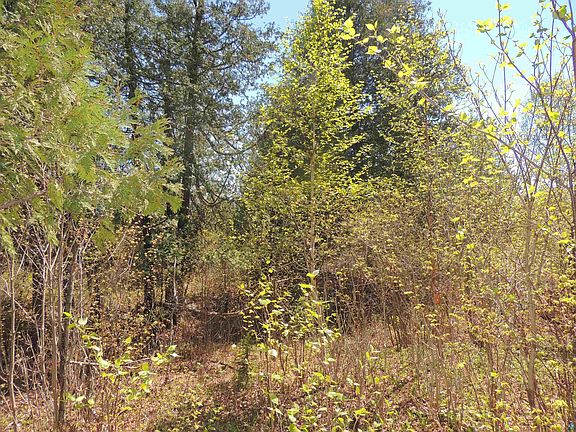 5th image of 1X Mountain Ash Ln