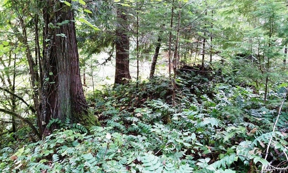 1st image of 0 Timberline Point Dr