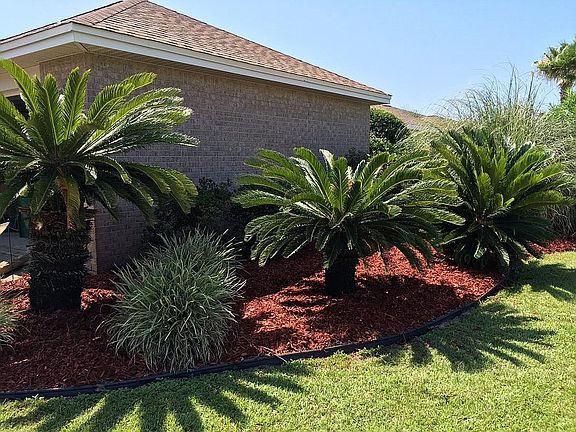 front garden