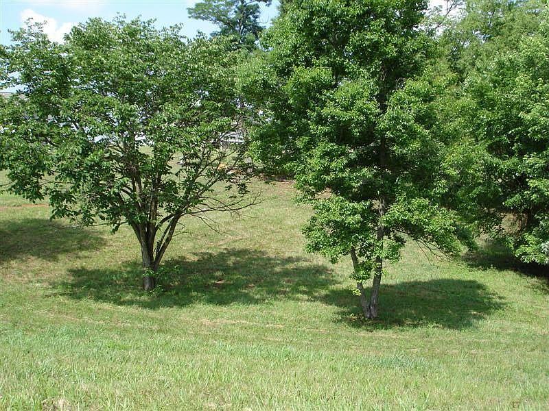 2nd image of 410 Heritage Ln