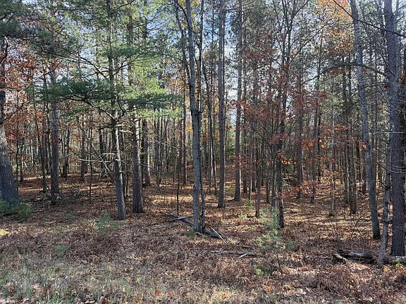5th image of 1.61 ac MADELINE LN