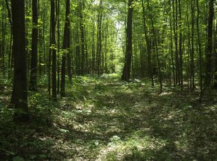 Coville Rd, Greenbush, MI 48738