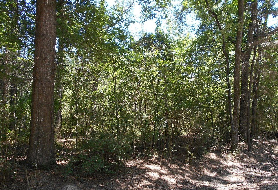 2nd image of 0 Old Highway 27 N