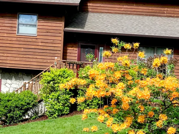 413 Academy St, Jefferson, NC 28640