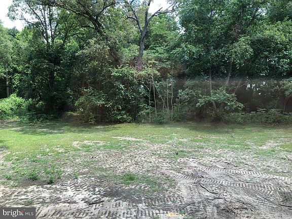 5th image of 33103 Forest Knoll Dr