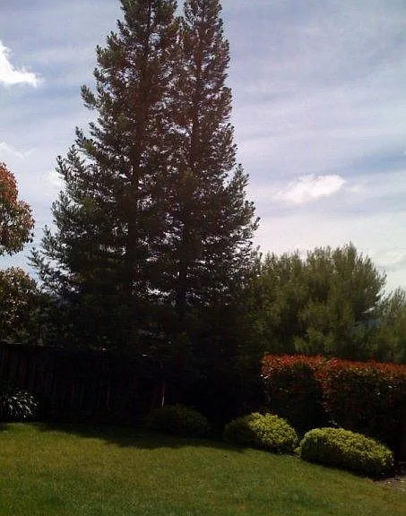 5048 Monaco Dr — Photo 22