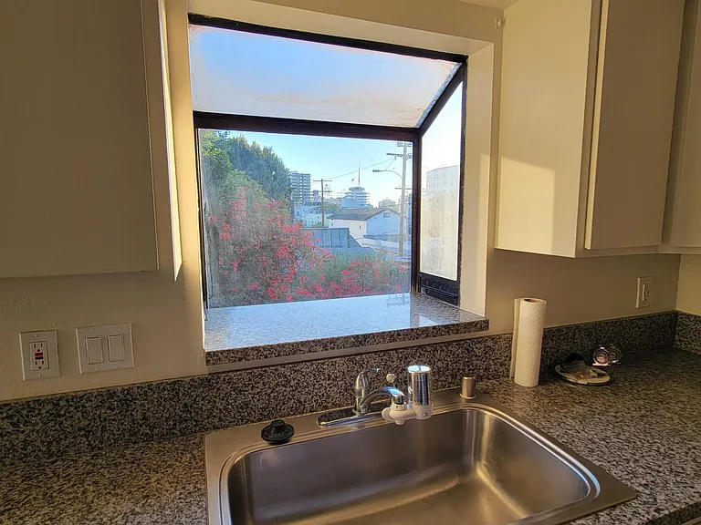 Garden Box over Kitchen Sink