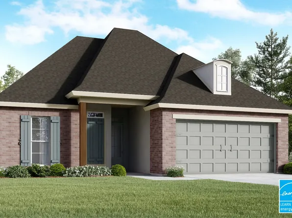 Viola Plan, Magnolia Trace