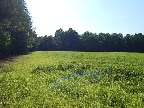 3rd image of 500 County Road 247