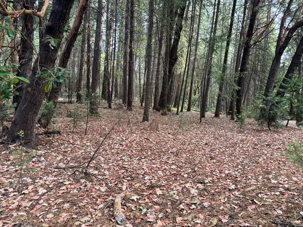 Ac 5 Reservoir Rd, Georgetown, CA 95634