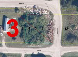 1010 W Betty St, Labelle, FL 33935