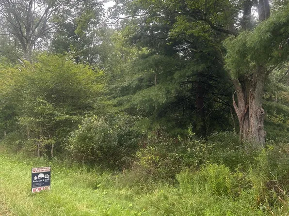 Rattlesnake Rd, Brockway, PA 15824