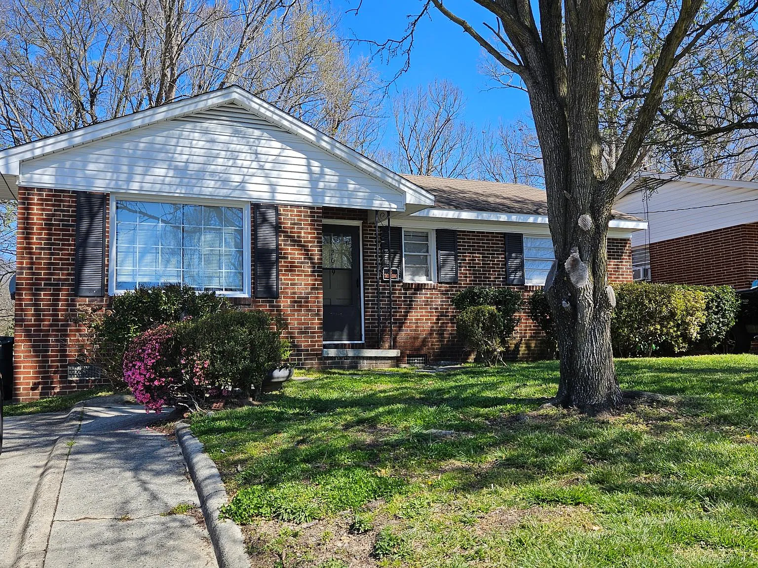 3 bed, 977 sqft, $1,350 — Photo 1